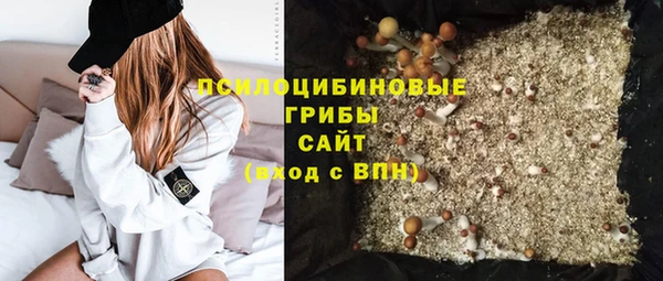 не бодяженный Абаза
