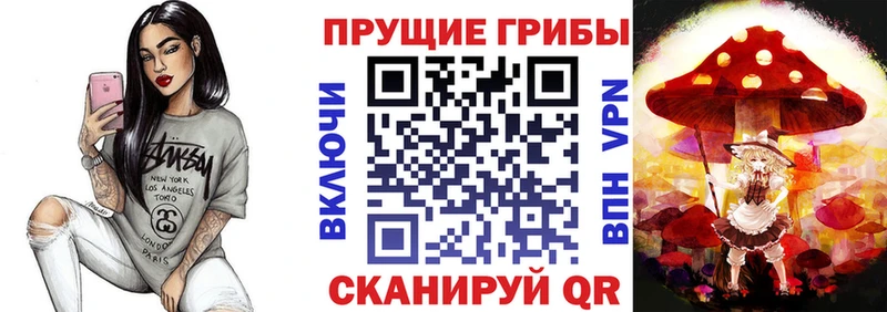 Галлюциногенные грибы Psilocybe  Воронеж 